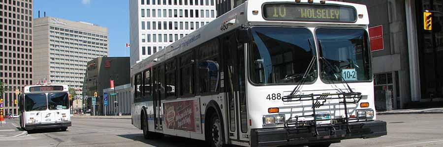 Winnipeg Transit buses on the road