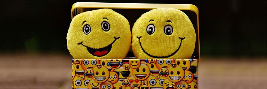 Two plush emoticons in a lunchbox covered in emoticon images.