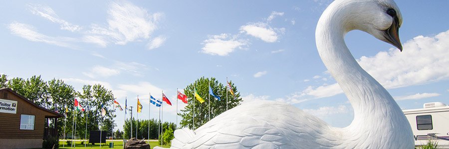The giant swan statue in Swan River, Manitoba.